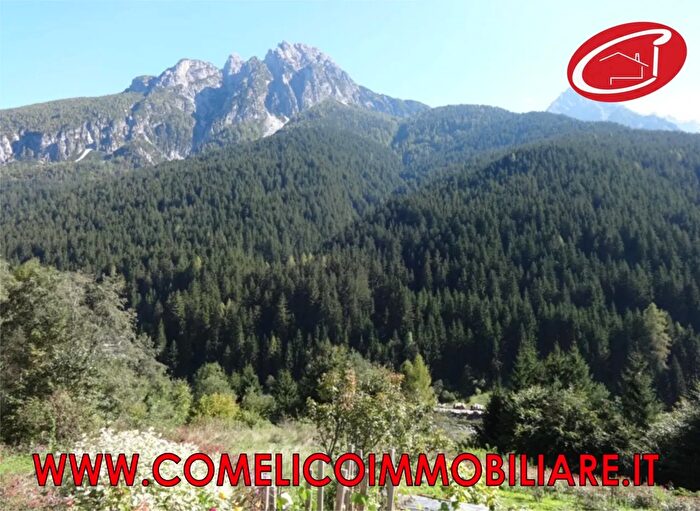 Appartamento trilocale in vendita in San Pietro Di Cadore