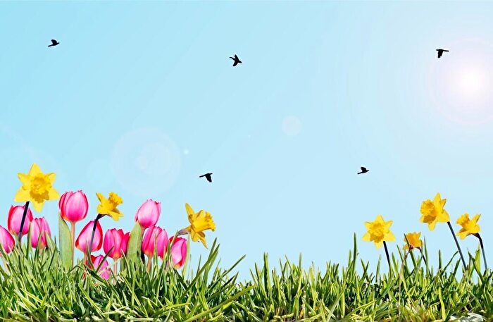 Appartamento con 11 locali in vendita in Torino