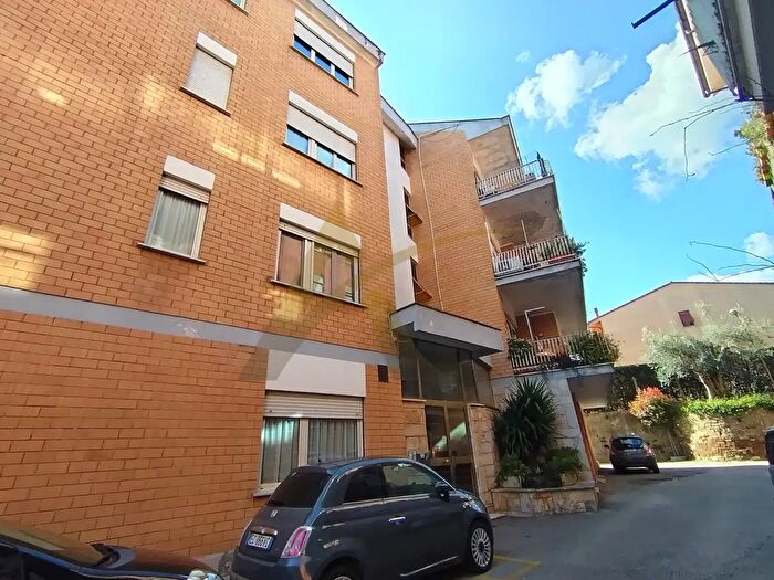 Appartamento trilocale in affitto in Velletri