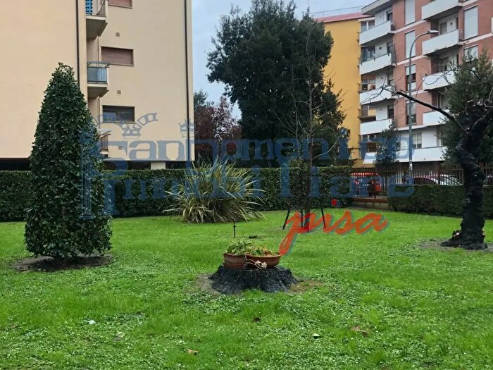 Appartamento trilocale in affitto in Pisa