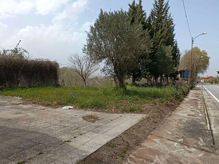 Appartamento con 6 locali in vendita in Paterno Calabro
