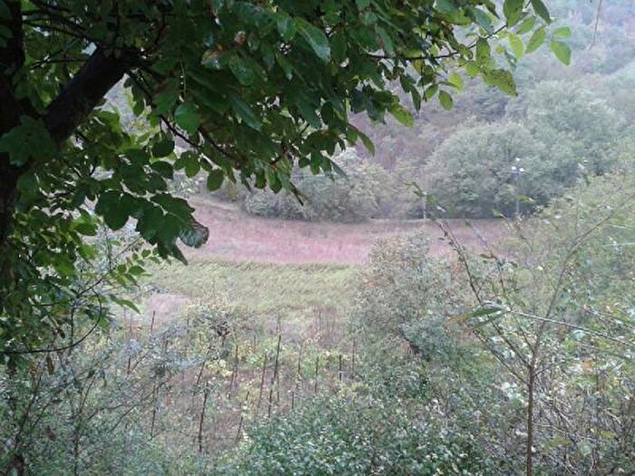 Appartamento quadrilocale in vendita in Sassoferrato