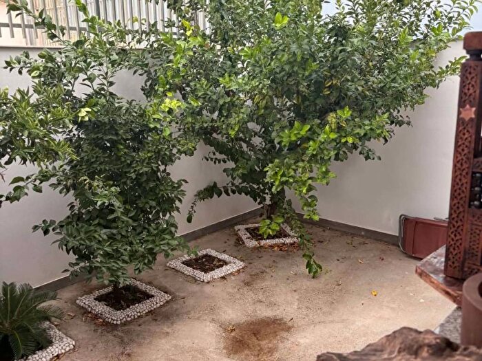 Appartamento bilocale in affitto in Via Francesco Petrarca, San Marco Evangelista