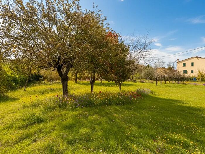 Casa quadrilocale in vendita in Ponsacco