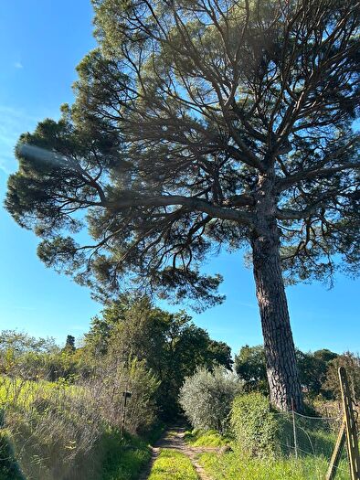 Casa con 10 locali in vendita in Fucecchio