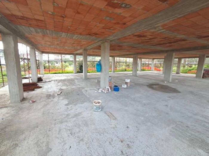 Casa in vendita in Davoli