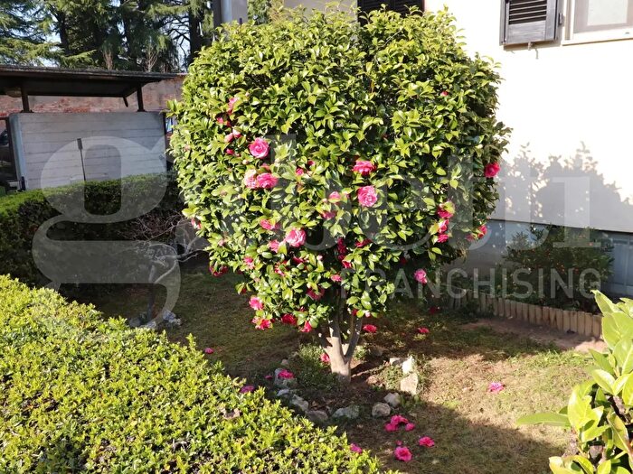 Casa quadrilocale in vendita in Mozzate