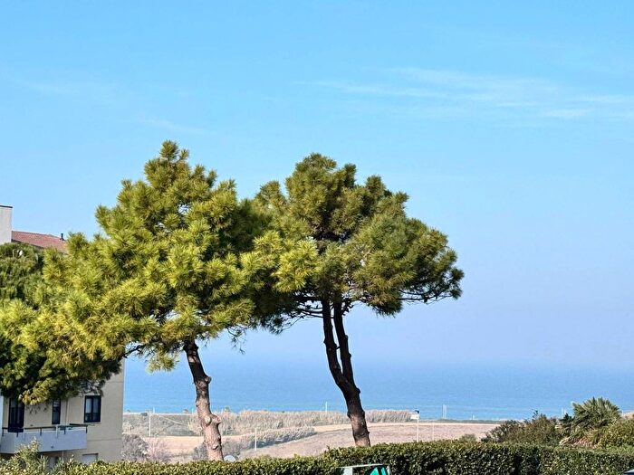 Appartamento quadrilocale in affitto in Centro, Termoli