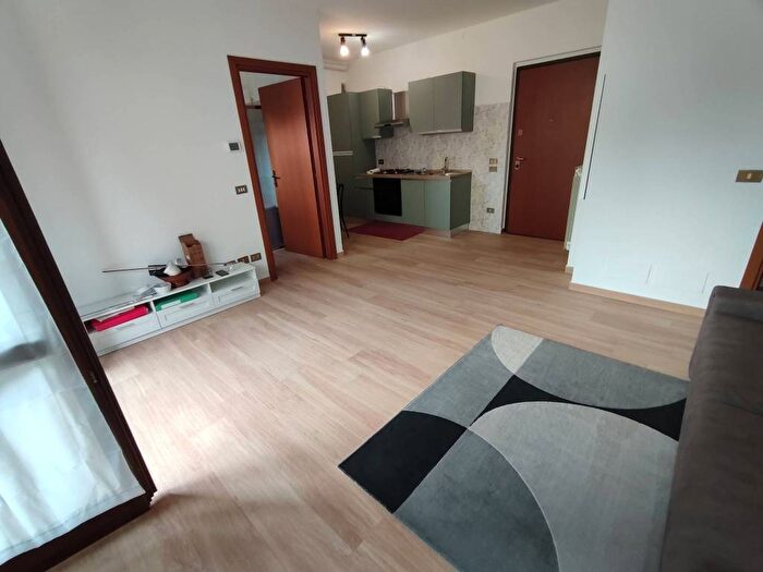 Appartamento monolocale in affitto in Via Principale, Centro, Borgarello