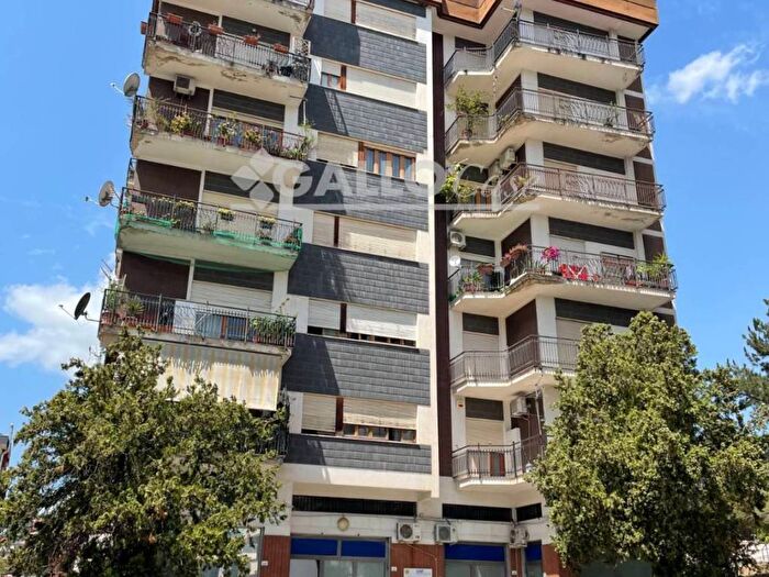 Appartamento quadrilocale in affitto in Via Molinella, Roges, Rende