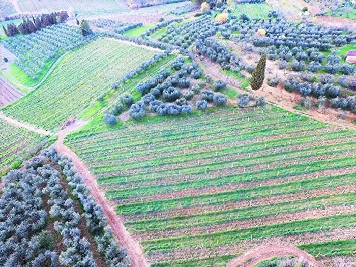 Casa con 6 locali in vendita in Zona Campagna, Certaldo