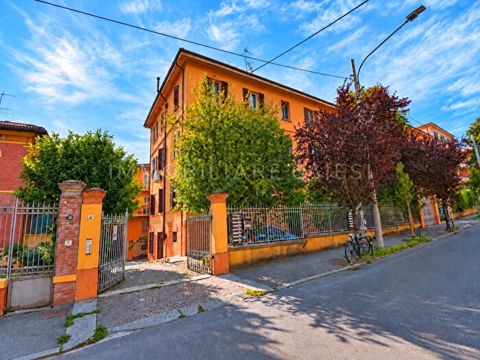 Appartamento con 5 locali in affitto in Colli Murri, Bologna