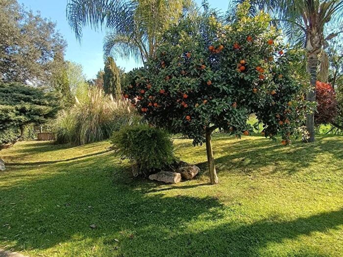 Casa con 5 locali in affitto in Via della Tenuta della Maglianella, Maglianella, Roma