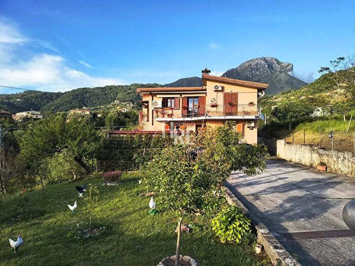 Casa in vendita in Contrda Pantaide Belvedere Marittimo, Belvedere Marittimo