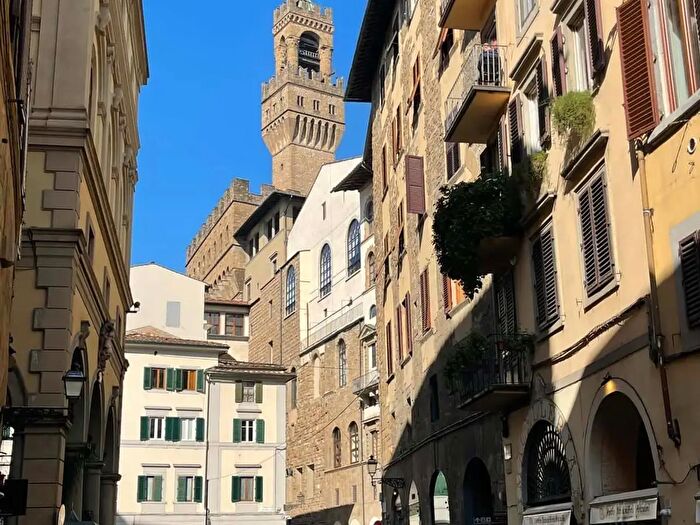 Appartamento monolocale in affitto in Via Osteria del Guanto, Firenze