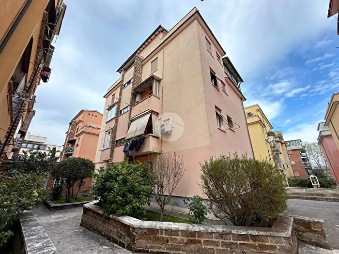 Appartamento bilocale in affitto in Via dei Ciclamini, Roma