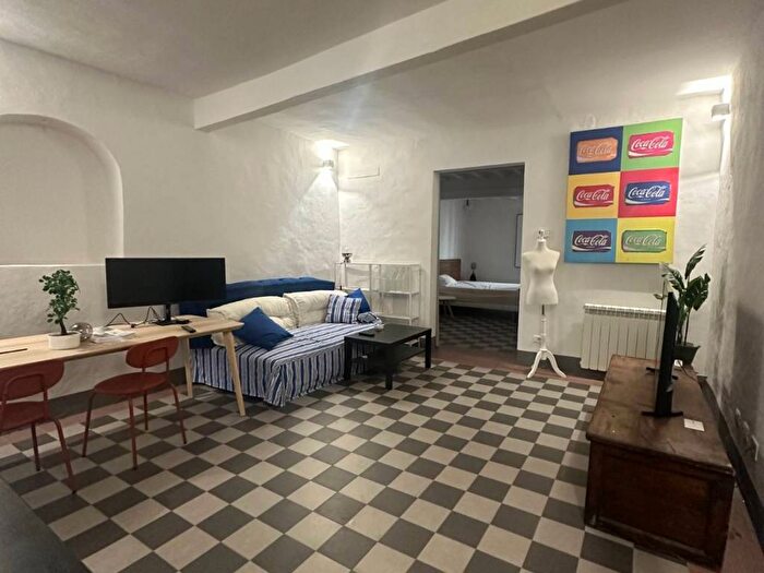 Appartamento bilocale in affitto in Via di Santo Spirito, Santo Spirito, Firenze