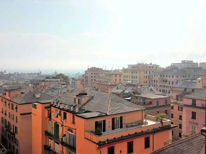 Appartamento trilocale in affitto in Genova