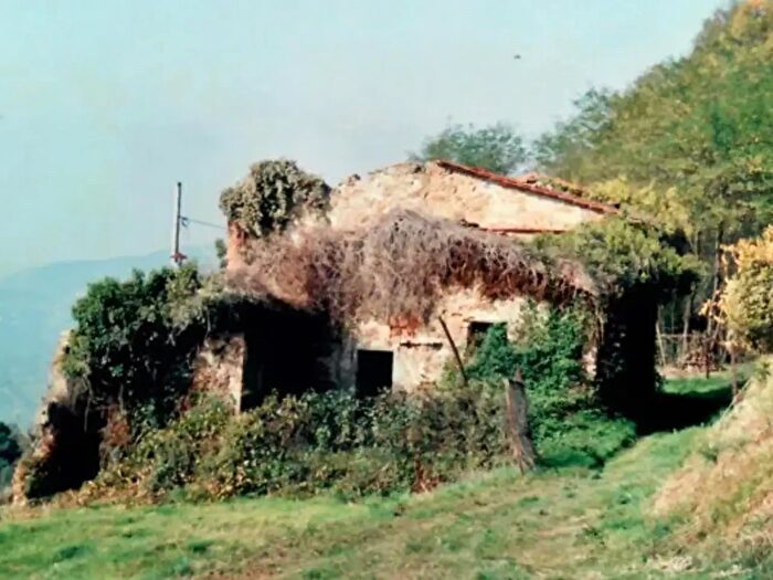 Casa con 6 locali in vendita in Via della Fonte di Maggino, Uzzano