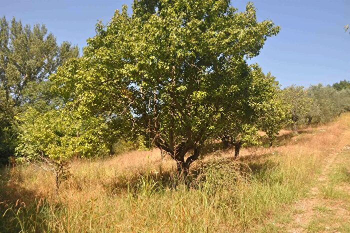 Casa in vendita in Casale Marittimo