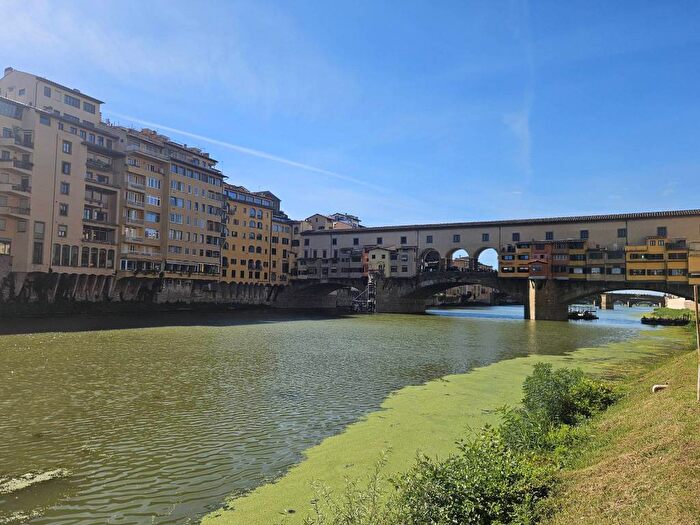 Appartamento trilocale in affitto in Ponte Vecchio Pitti, Firenze