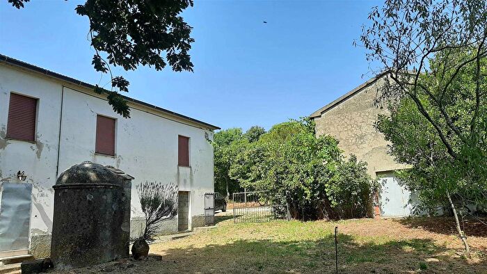 Casa con 15 locali in affitto in Scansano