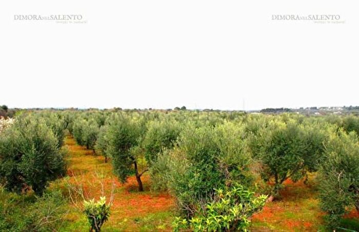 Casa quadrilocale in vendita in Via della Ginestra, Salve
