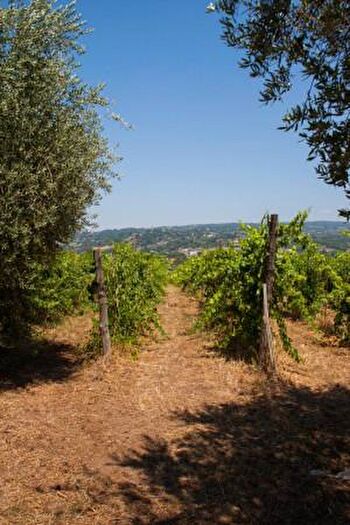 Casa quadrilocale in vendita in Via Ettore Maffei Taur, Taurasi