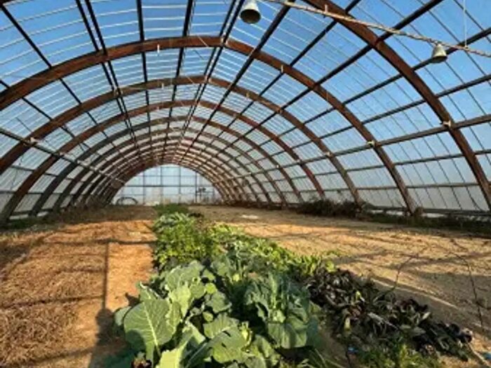 Casa con 6 locali in vendita in Strada Casal Cermelli, Castellazzo Bormida