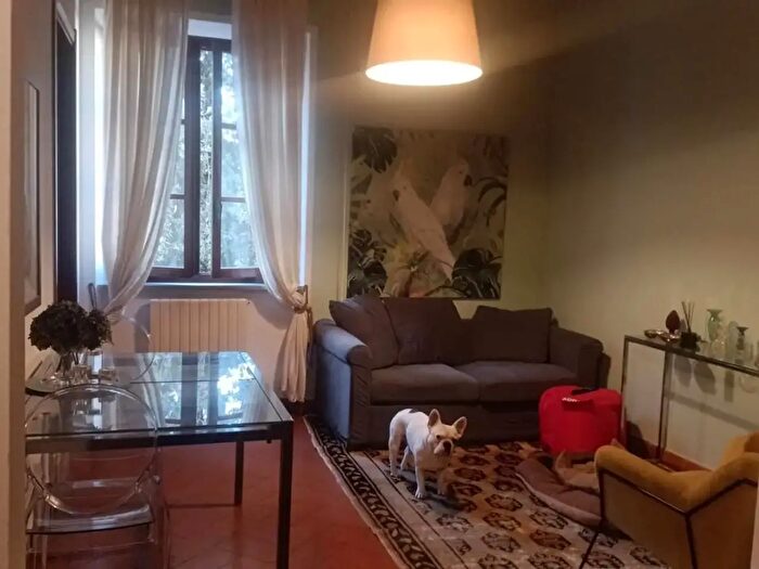 Appartamento quadrilocale in affitto in Pisa