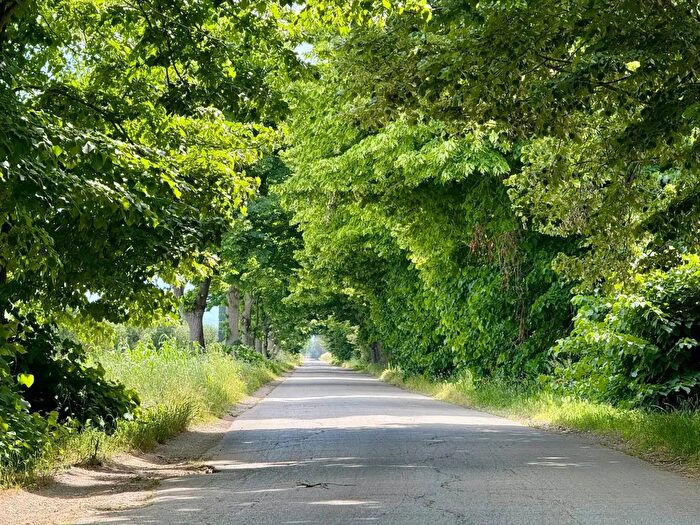 Appartamento con 7 locali in vendita in Strada Vicinale San Donato, Orbetello