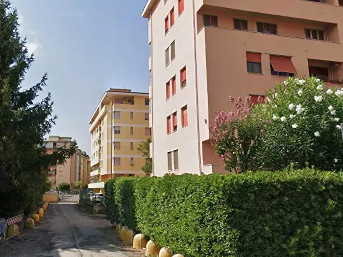 Appartamento bilocale in affitto in Pisa