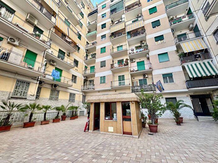 Appartamento bilocale in affitto in Viale Colli Aminei, Colli Aminei Capodimonte, Napoli