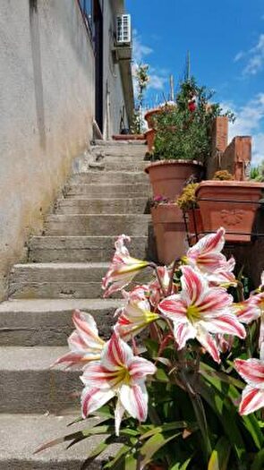 Appartamento con 5 locali in vendita in Via Massa Prato, Maratea