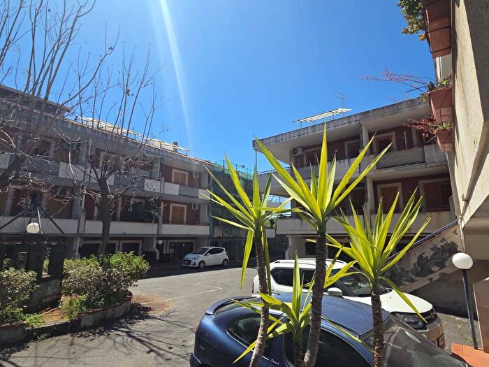 Appartamento con 6 locali in affitto in Via Cefalù, Pennisi Santa Maria Ammalati Piano dApi, Acireale
