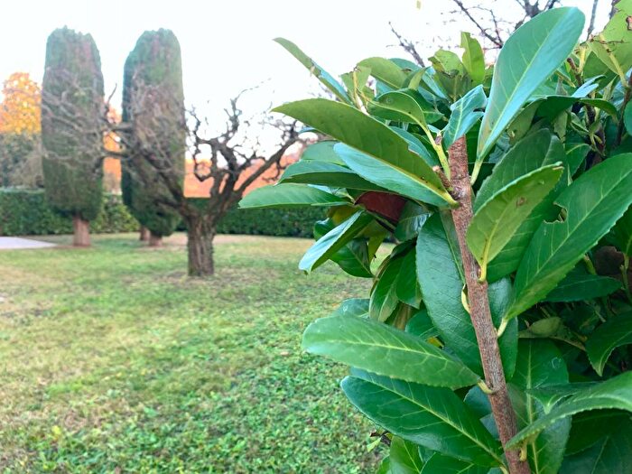 Casa con 5 locali in affitto in Centro, Longare