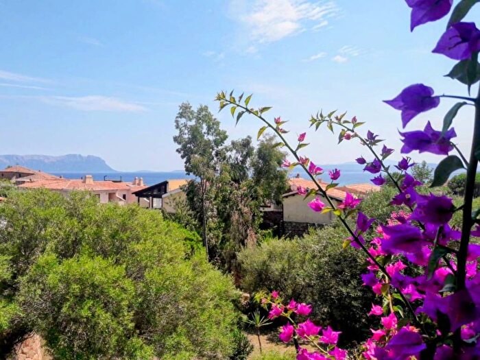 Casa con 5 locali in affitto in Via degli Oleandri, Golfo Aranci