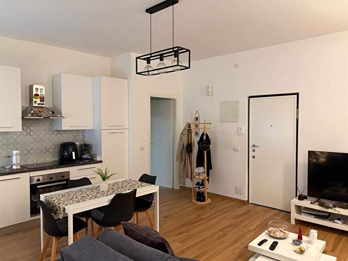 Appartamento bilocale in affitto in via Lodovico il Moro, Tre Castelli Faenza, Milano