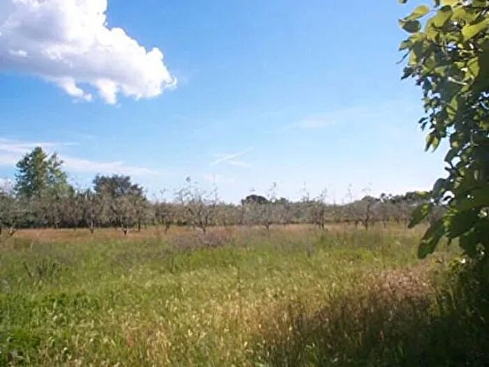 Casa in vendita in Bibbona