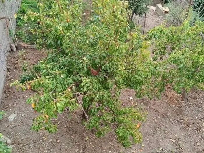 Casa con 5 locali in vendita in Pressi Chiesa Duomo, Ali Terme