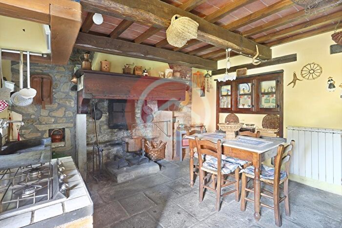 Casa con 10 locali in vendita in Località col di Maturaia, Castiglione Di Garfagnana