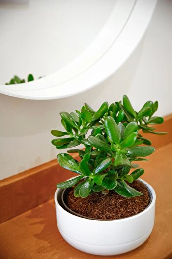 Appartamento bilocale in vendita in Via Enrico Forlanini, Firenze