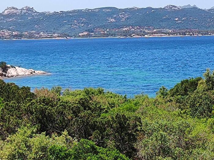 Appartamento bilocale in affitto in Via Mucchi Bianchi, Baja Sardinia, Arzachena