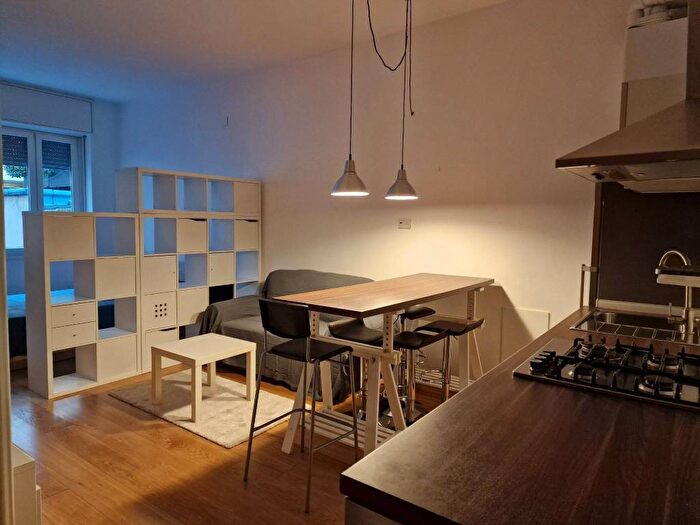 Appartamento monolocale in affitto in Via Ambrogio da Fossano Bergognone, Solari, Milano