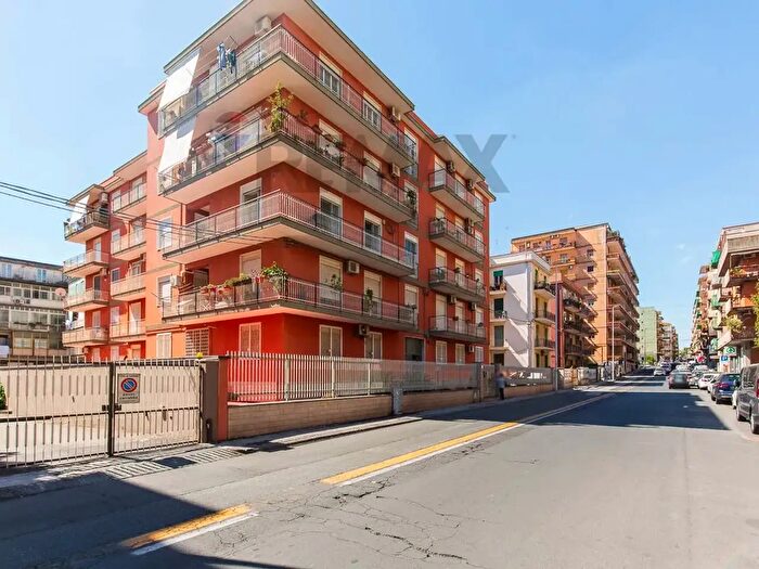 Appartamento trilocale in affitto in Via Francesco Fusco, Catania
