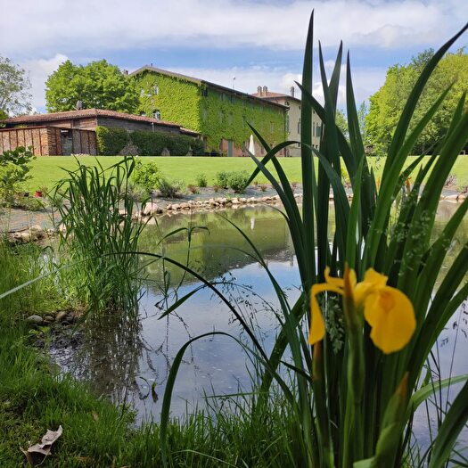 Appartamento monolocale in vendita in Sona