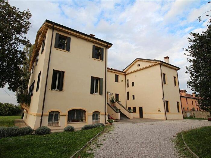 Appartamento quadrilocale in affitto in Cervarese Santa Croce
