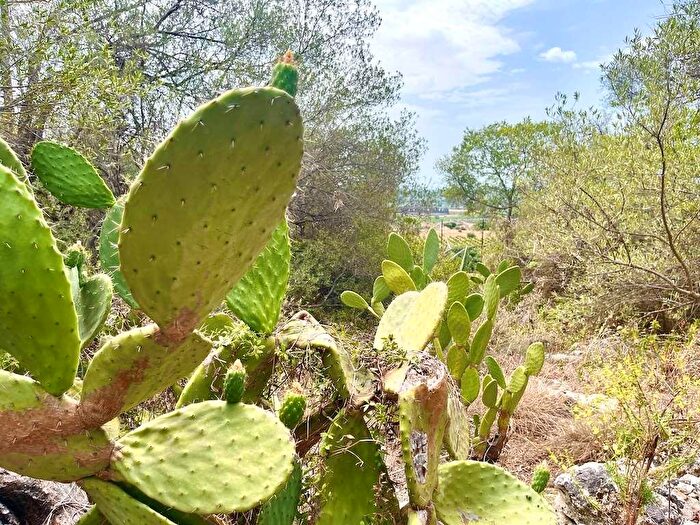 Casa monolocale in vendita in Epipoli, Siracusa