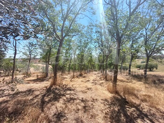 Appartamento quadrilocale in vendita in Via Santa Maria Snc, Mosciano SantAngelo