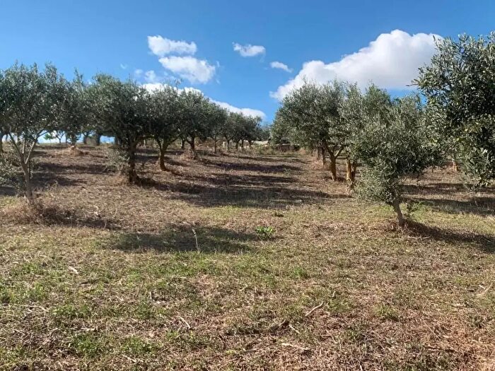 Casa con 5 locali in vendita in Via Soria, Valderice